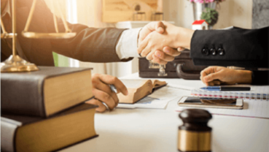 expert witness services